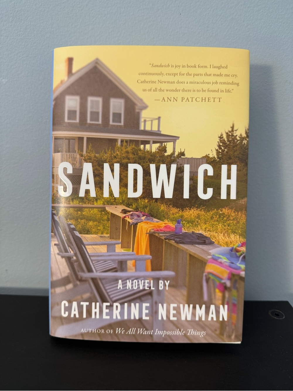 Sandwich novel by Katherine Newman Hardcover book with dust jacket 1st edition